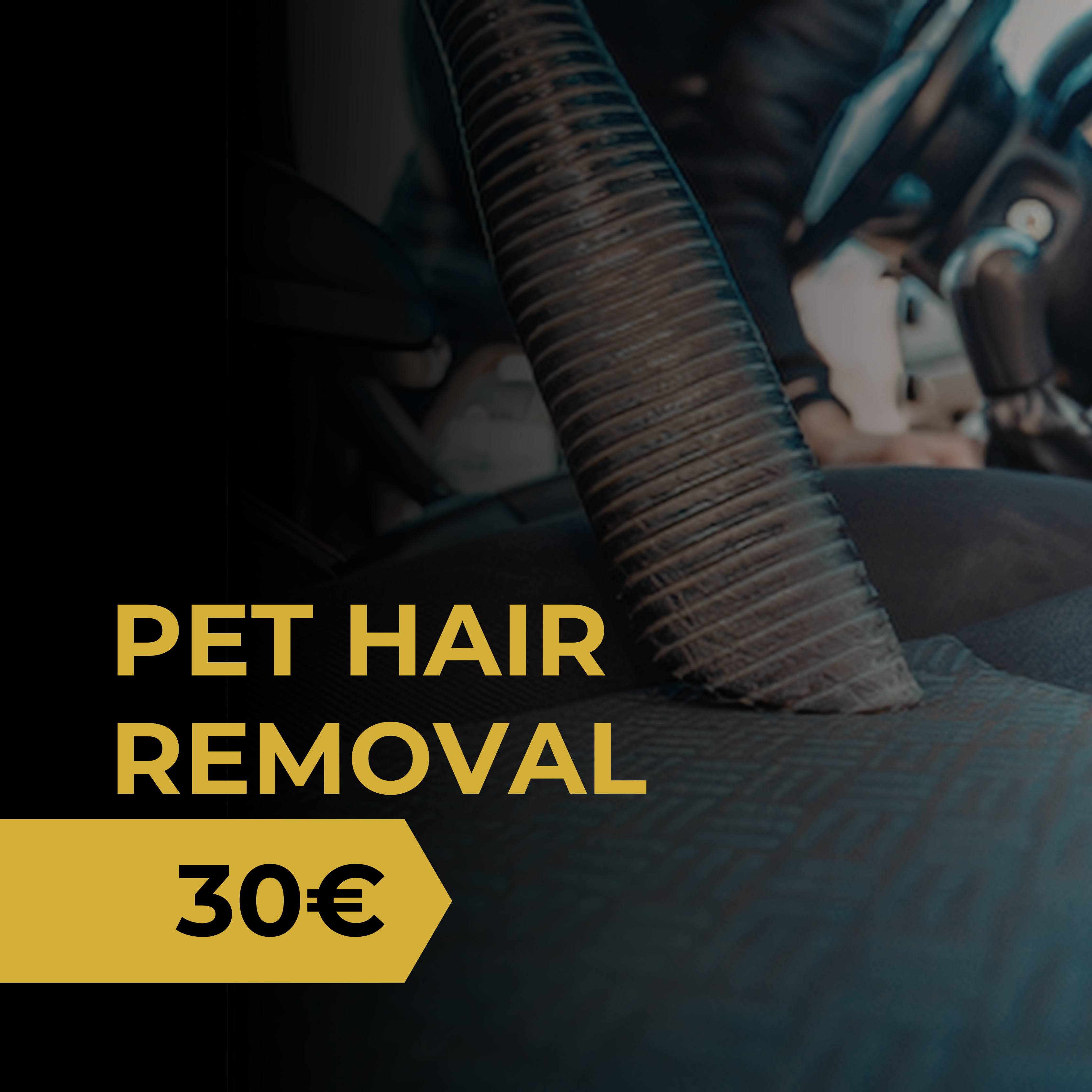 Pet Hair Removal